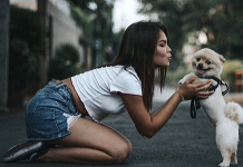 Como se manifiestan las emociones y los sentimientos en las mascotas